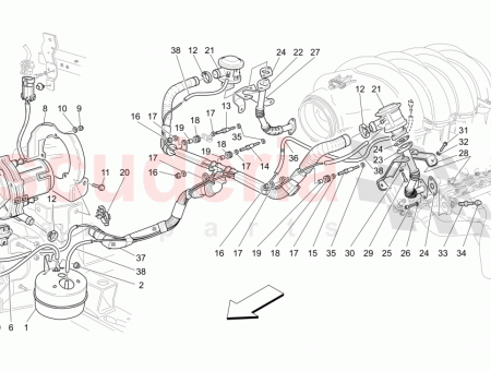Photo of SCREW…